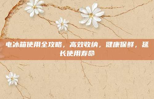 电冰箱使用全攻略，高效收纳，健康保鲜，延长使用寿命