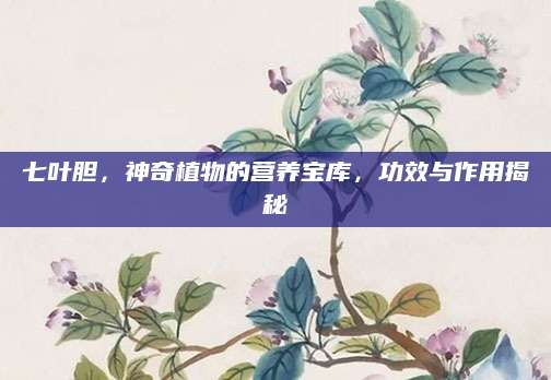 七叶胆，神奇植物的营养宝库，功效与作用揭秘