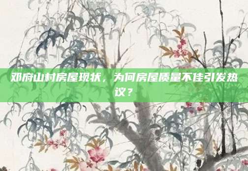 邓府山村房屋现状，为何房屋质量不佳引发热议？