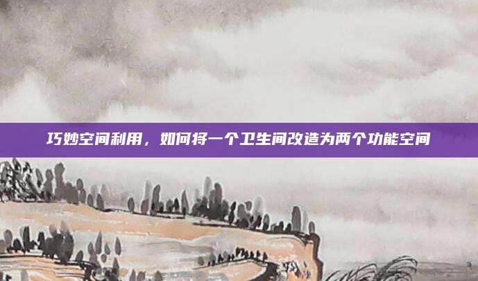 巧妙空间利用，如何将一个卫生间改造为两个功能空间