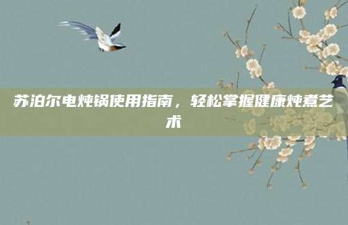 苏泊尔电炖锅使用指南，轻松掌握健康炖煮艺术