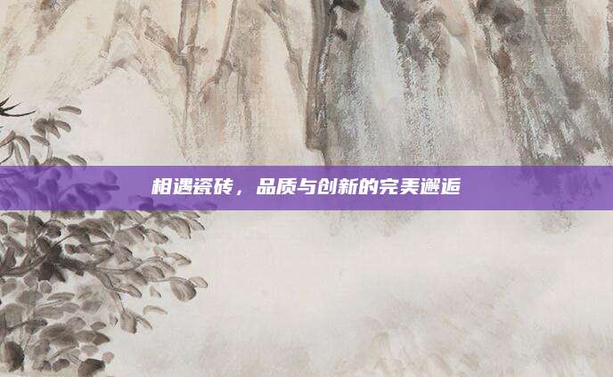 相遇瓷砖，品质与创新的完美邂逅