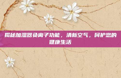 揭秘加湿器负离子功能，清新空气，呵护您的健康生活