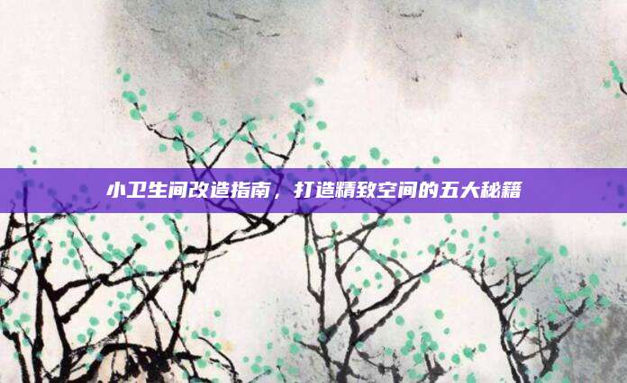 小卫生间改造指南，打造精致空间的五大秘籍