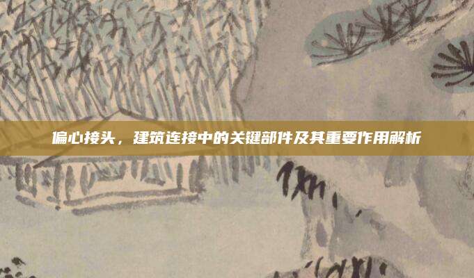 偏心接头，建筑连接中的关键部件及其重要作用解析