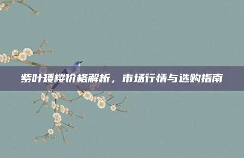紫叶矮樱价格解析，市场行情与选购指南