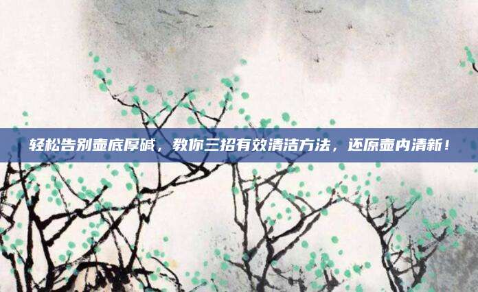 轻松告别壶底厚碱，教你三招有效清洁方法，还原壶内清新！
