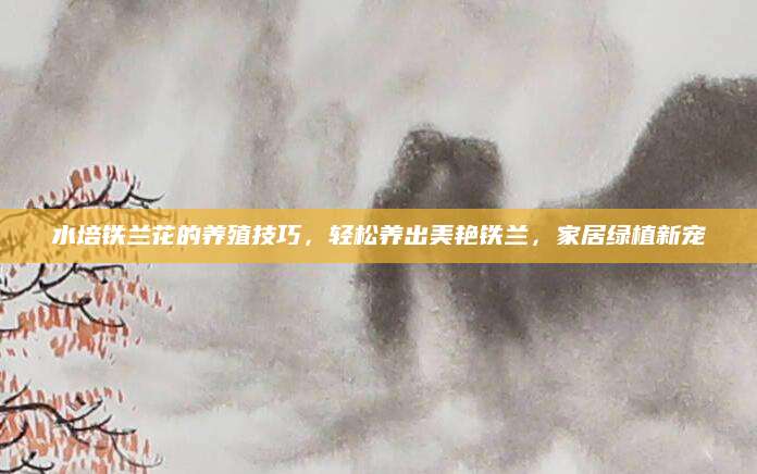 水培铁兰花的养殖技巧，轻松养出美艳铁兰，家居绿植新宠