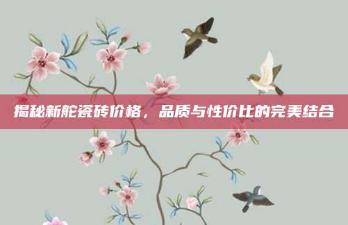 揭秘新舵瓷砖价格，品质与性价比的完美结合