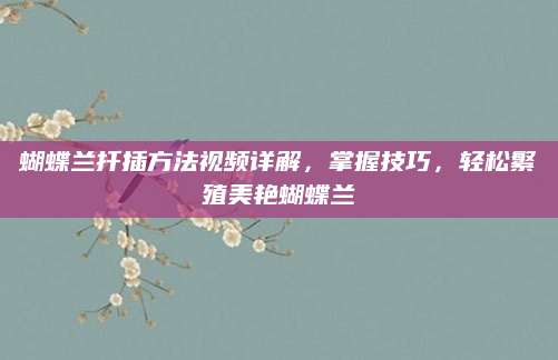 蝴蝶兰扦插方法视频详解，掌握技巧，轻松繁殖美艳蝴蝶兰
