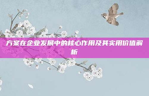 方案在企业发展中的核心作用及其实用价值解析
