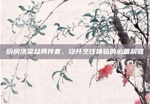 厨房洗菜盆两件套，提升烹饪体验的必备利器