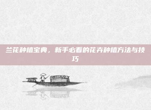 兰花种植宝典，新手必看的花卉种植方法与技巧