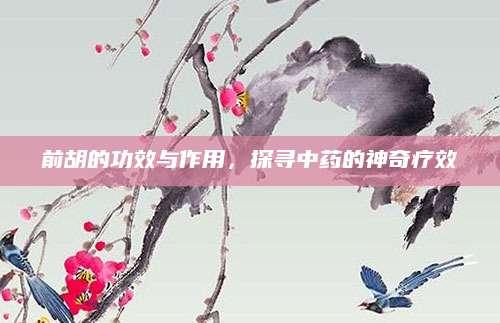 前胡的功效与作用，探寻中药的神奇疗效