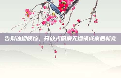 告别油烟烦恼，开放式厨房无烟锅成家居新宠