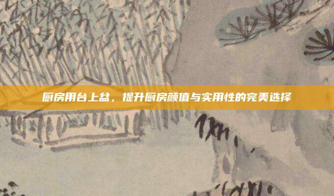 厨房用台上盆，提升厨房颜值与实用性的完美选择
