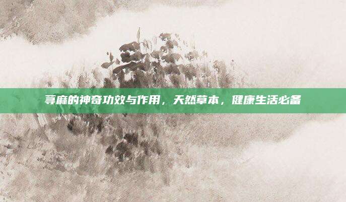 荨麻的神奇功效与作用，天然草本，健康生活必备
