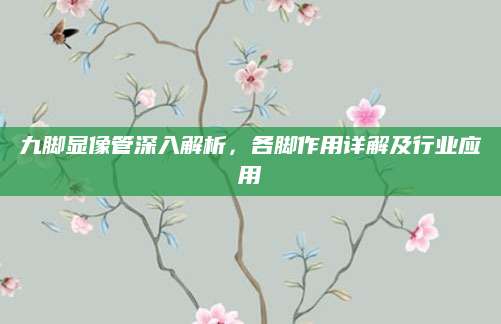 九脚显像管深入解析，各脚作用详解及行业应用