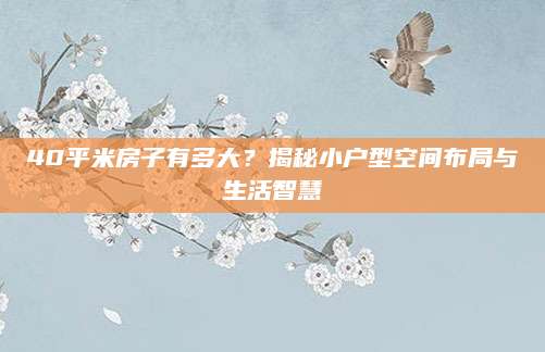 40平米房子有多大？揭秘小户型空间布局与生活智慧