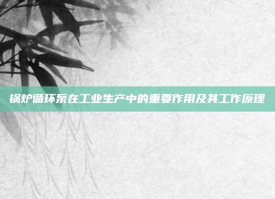 锅炉循环泵在工业生产中的重要作用及其工作原理