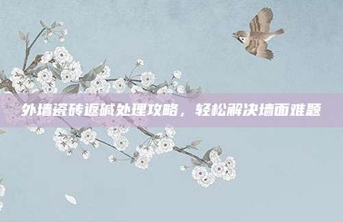 外墙瓷砖返碱处理攻略，轻松解决墙面难题