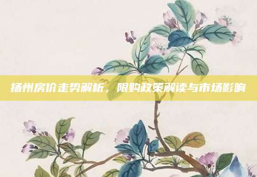 扬州房价走势解析，限购政策解读与市场影响