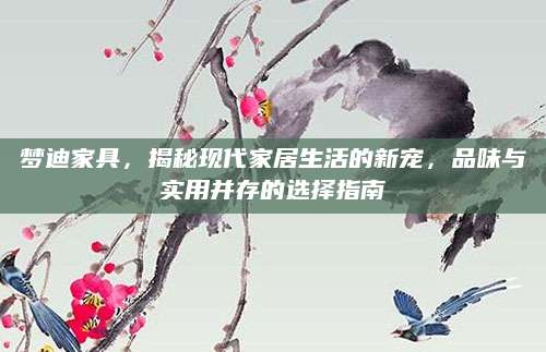 梦迪家具，揭秘现代家居生活的新宠，品味与实用并存的选择指南
