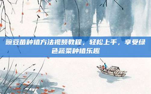 豌豆苗种植方法视频教程，轻松上手，享受绿色蔬菜种植乐趣