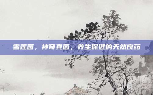 雪莲菌，神奇真菌，养生保健的天然良药