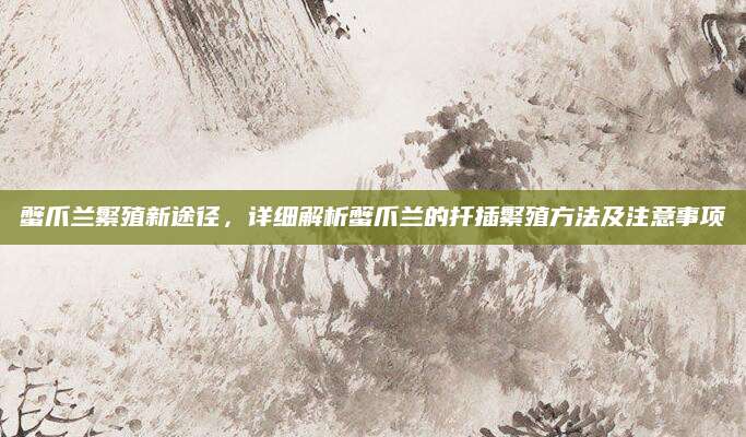蟹爪兰繁殖新途径，详细解析蟹爪兰的扦插繁殖方法及注意事项
