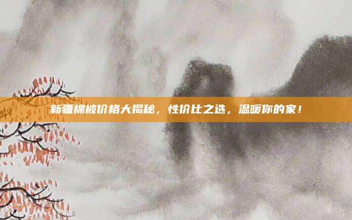 新疆棉被价格大揭秘，性价比之选，温暖你的家！