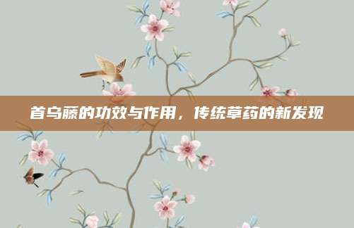 首乌藤的功效与作用，传统草药的新发现