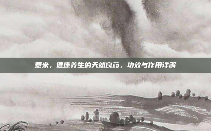 薏米，健康养生的天然良药，功效与作用详解