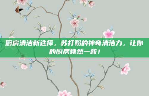 厨房清洁新选择，苏打粉的神奇清洁力，让你的厨房焕然一新！