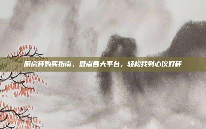 厨房秤购买指南，盘点各大平台，轻松找到心仪好秤