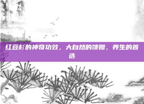 红豆杉的神奇功效，大自然的馈赠，养生的首选