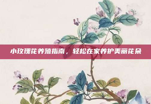 小玫瑰花养殖指南，轻松在家养护美丽花朵