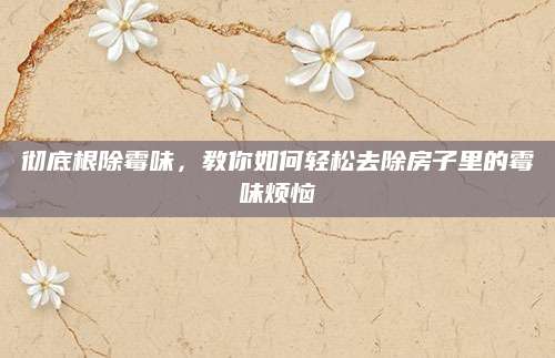 彻底根除霉味，教你如何轻松去除房子里的霉味烦恼