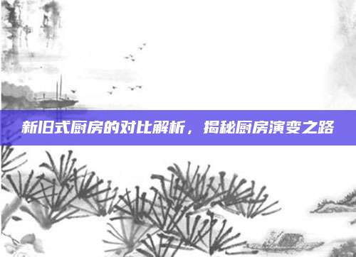 新旧式厨房的对比解析，揭秘厨房演变之路