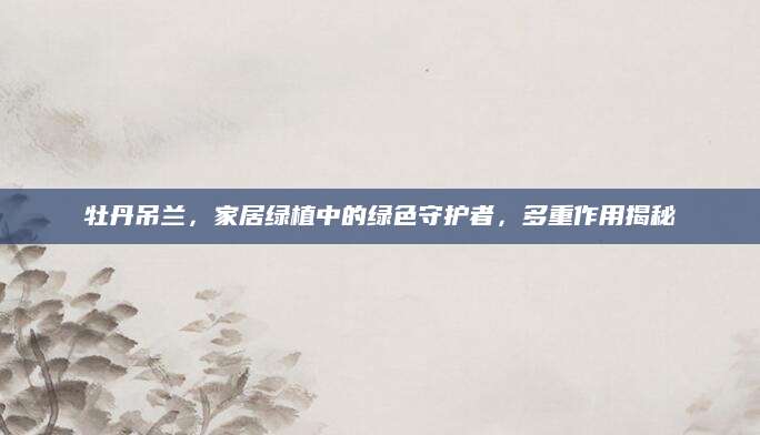 牡丹吊兰，家居绿植中的绿色守护者，多重作用揭秘