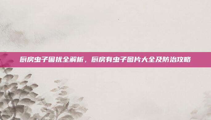 厨房虫子困扰全解析，厨房有虫子图片大全及防治攻略