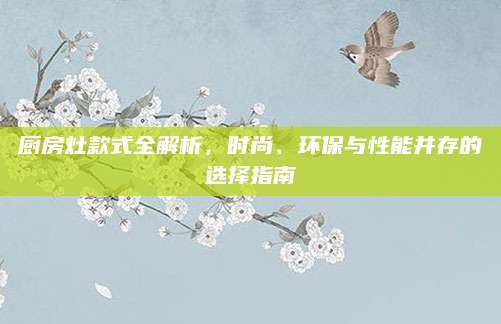 厨房灶款式全解析，时尚、环保与性能并存的选择指南