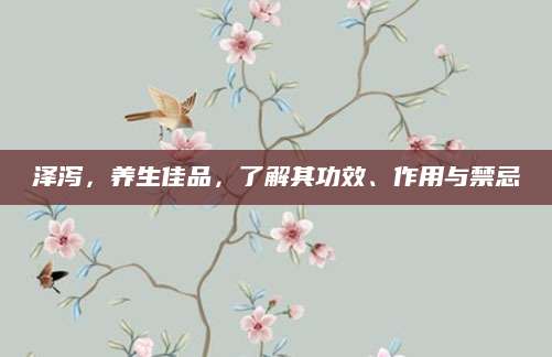 泽泻，养生佳品，了解其功效、作用与禁忌