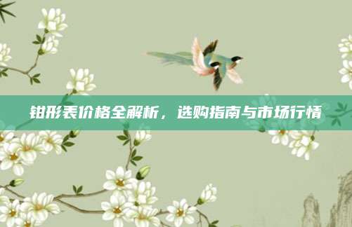 钳形表价格全解析，选购指南与市场行情