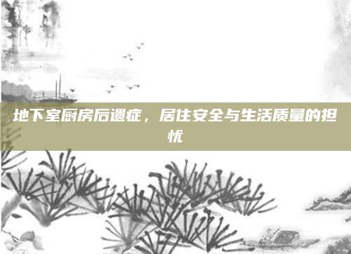 地下室厨房后遗症，居住安全与生活质量的担忧