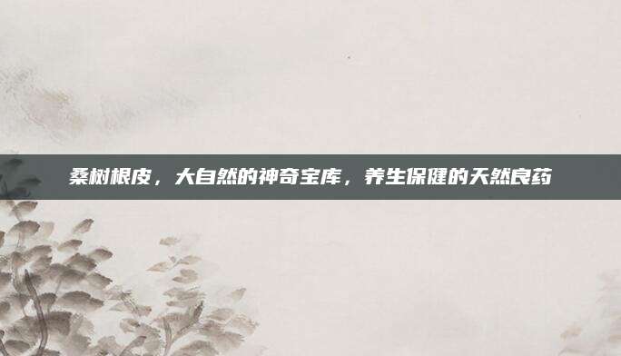 桑树根皮，大自然的神奇宝库，养生保健的天然良药