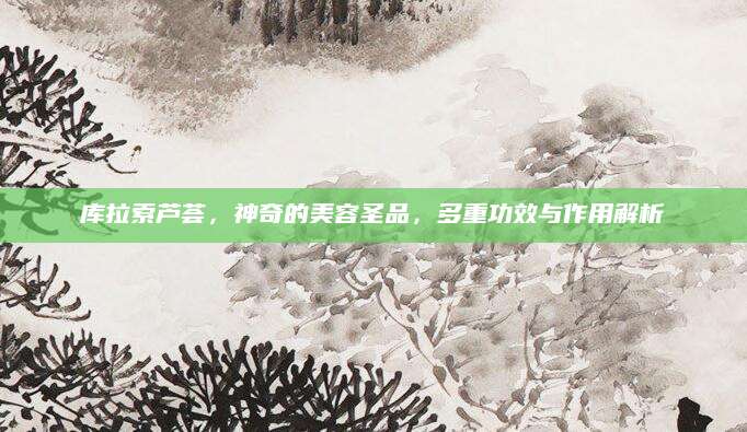 库拉索芦荟，神奇的美容圣品，多重功效与作用解析