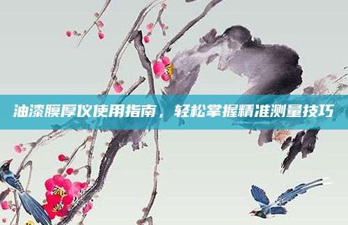 油漆膜厚仪使用指南，轻松掌握精准测量技巧