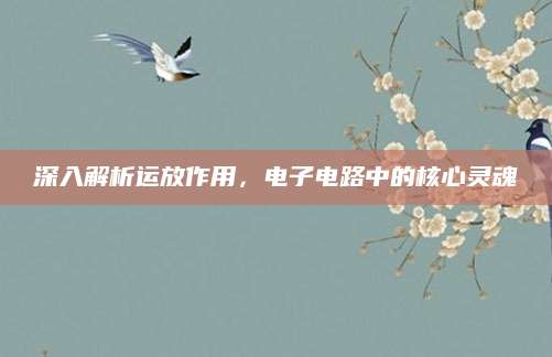 深入解析运放作用，电子电路中的核心灵魂