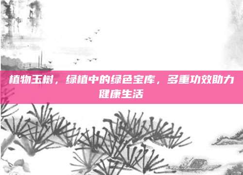 植物玉树，绿植中的绿色宝库，多重功效助力健康生活